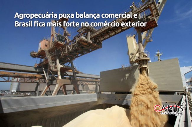 Agropecuária