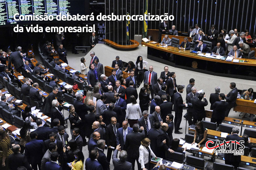 desburocratizacao desburocratização