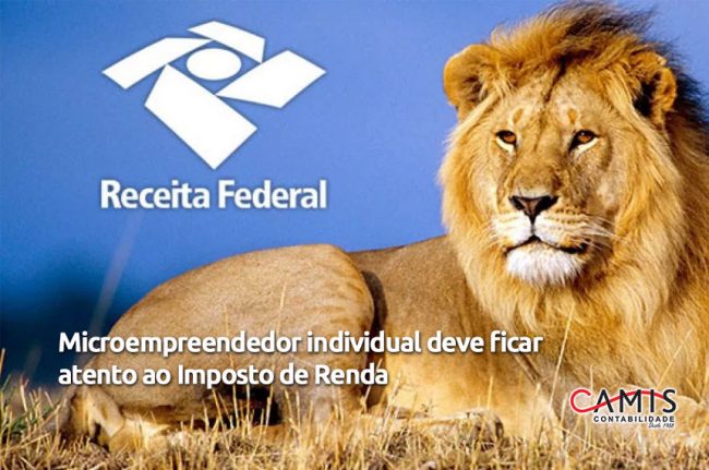 microempreendedor individual