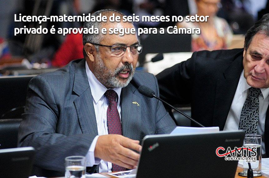 Licença-maternidade Licença-maternidade