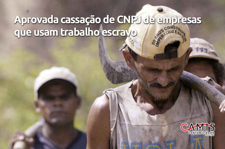 Trabalho Escravo
