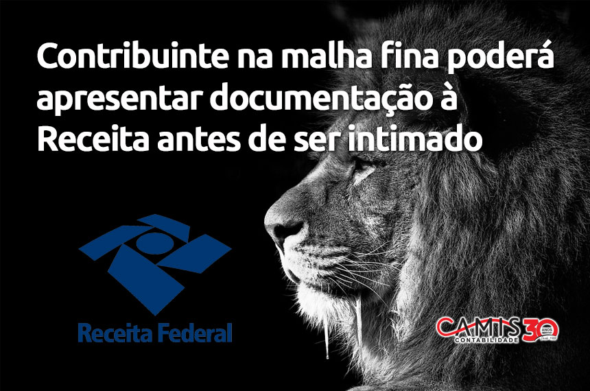 Malha Fina