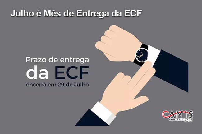Entrega da ECF