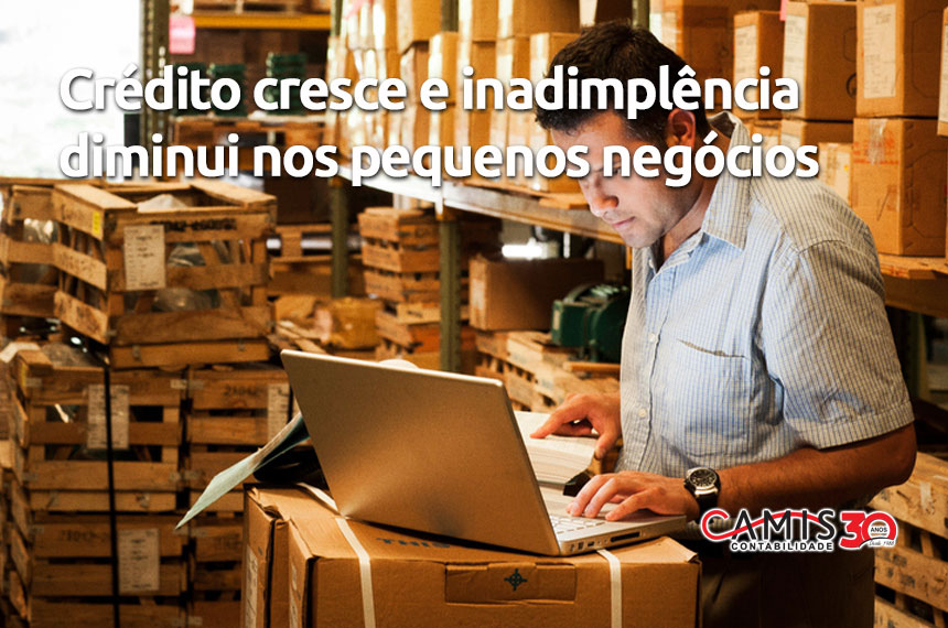 Pequenos Negócios