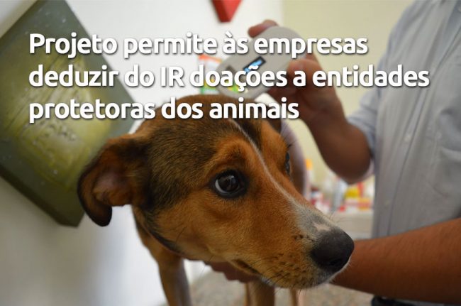 Proteção aos animais