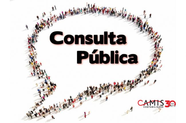 consulta pública