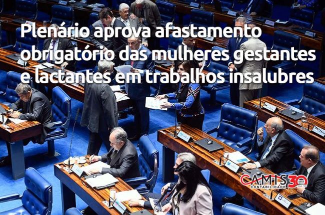 gestantes e lactantes