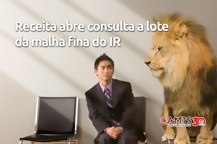 Malha Fina