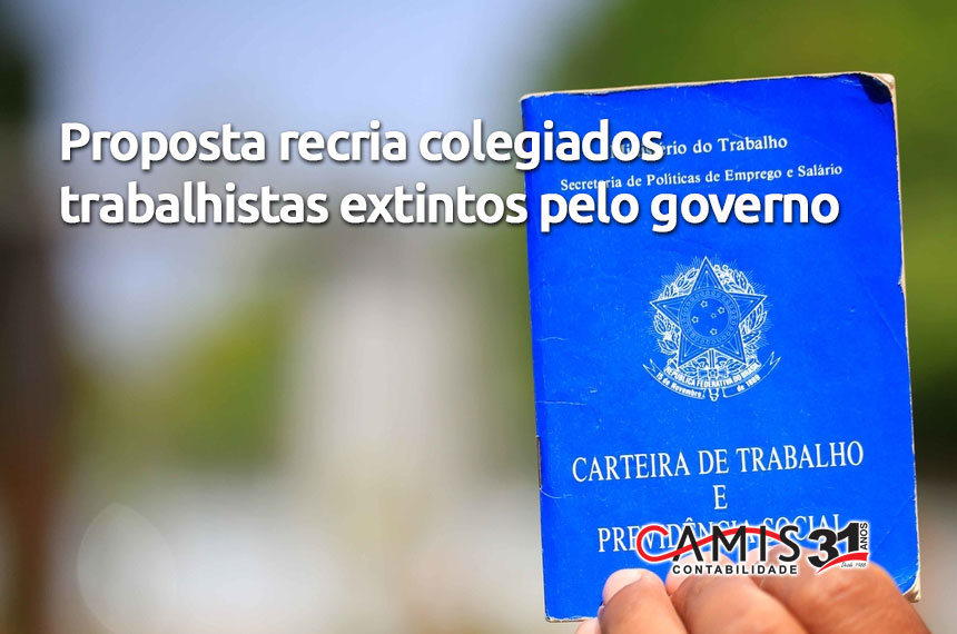 colegiados