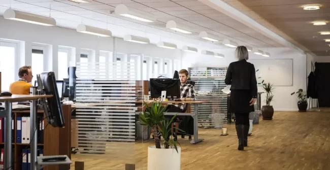 Otimização dos processos fiscais