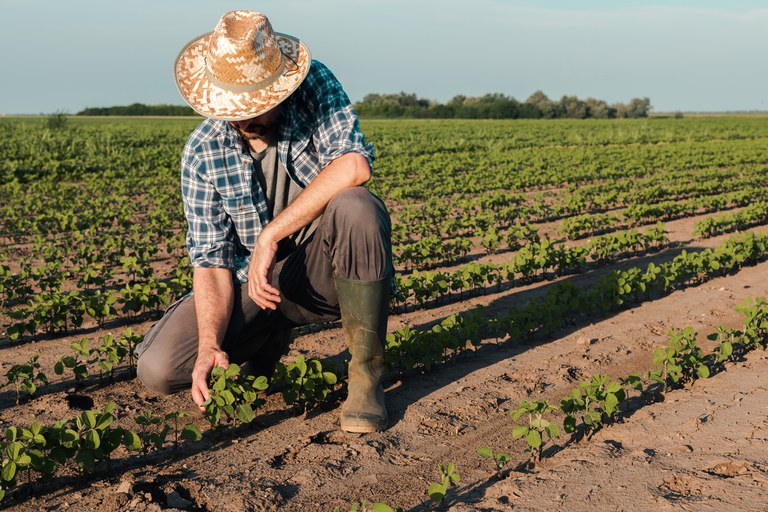 Livro Caixa Digital do Produtor Rural: saiba como atender essa exigência na declaração do Imposto de Renda em 2024