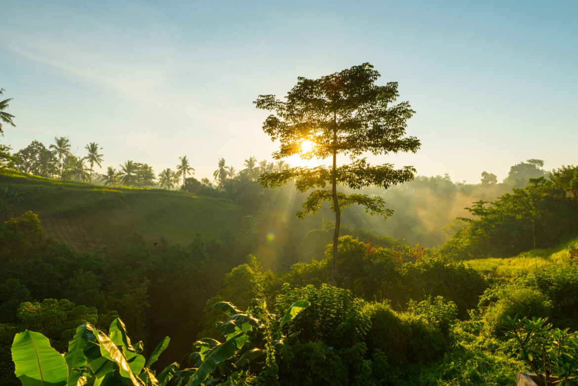 Publicada Lei do Licenciamento Ambiental, com 63 vetos