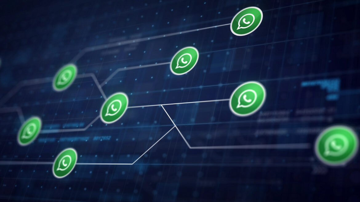 WhatsApp é o principal meio de comunicação para 80% dos negócios de serviço